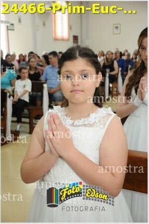 24466-Prim-Euc-NSAp-23-11-2025