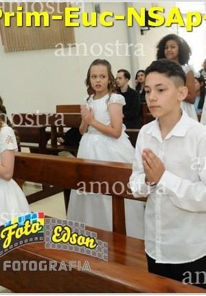 24474-Prim-Euc-NSAp-23-11-2025