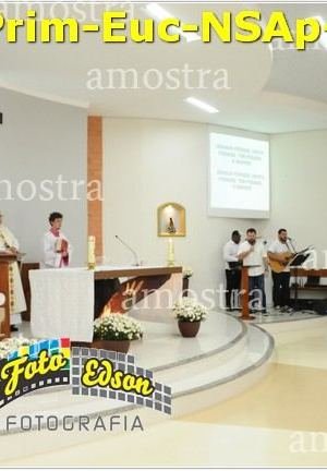 24490-Prim-Euc-NSAp-23-11-2025