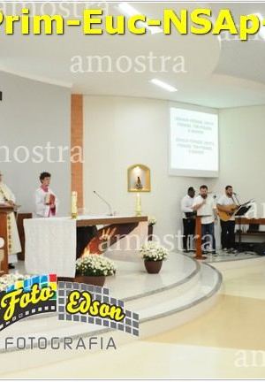 24490-Prim-Euc-NSAp-23-11-2025