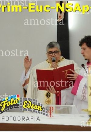 24491-Prim-Euc-NSAp-23-11-2025