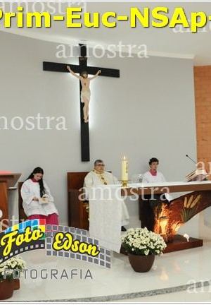 24494-Prim-Euc-NSAp-23-11-2025