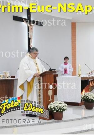 24500-Prim-Euc-NSAp-23-11-2025