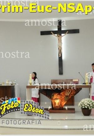 24501-Prim-Euc-NSAp-23-11-2025