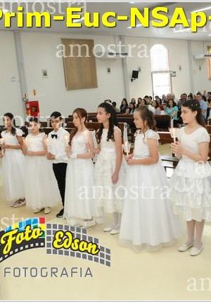 24516-Prim-Euc-NSAp-23-11-2025