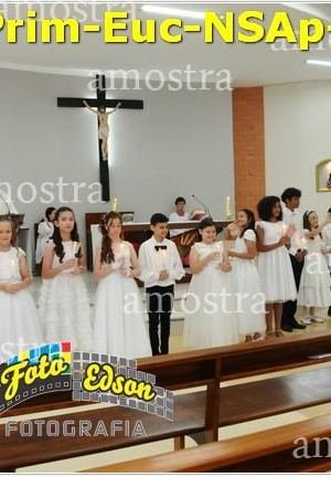 24517-Prim-Euc-NSAp-23-11-2025