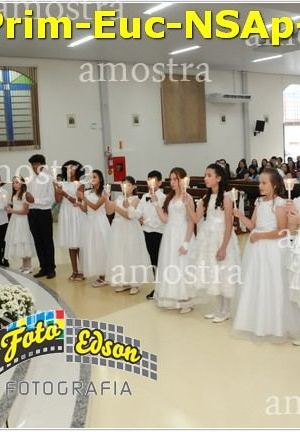 24519-Prim-Euc-NSAp-23-11-2025