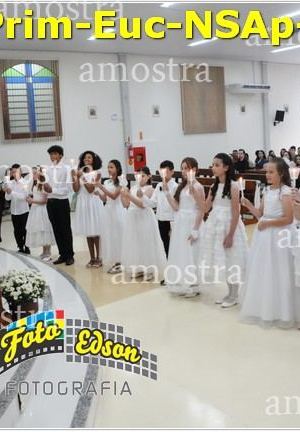 24520-Prim-Euc-NSAp-23-11-2025