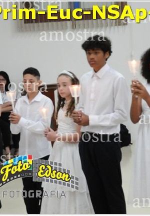 24521-Prim-Euc-NSAp-23-11-2025