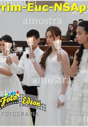 24523-Prim-Euc-NSAp-23-11-2025