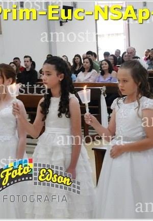 24524-Prim-Euc-NSAp-23-11-2025