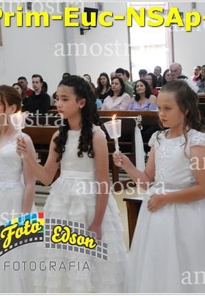 24524-Prim-Euc-NSAp-23-11-2025