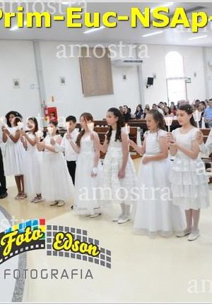 24526-Prim-Euc-NSAp-23-11-2025