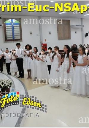 24527-Prim-Euc-NSAp-23-11-2025