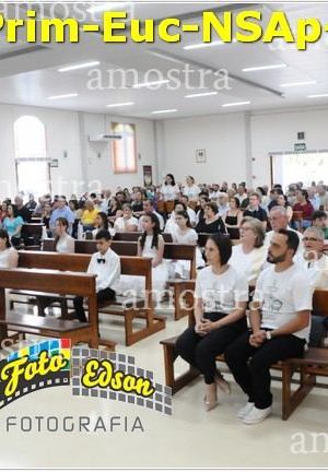 24540-Prim-Euc-NSAp-23-11-2025