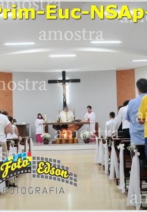 24541-Prim-Euc-NSAp-23-11-2025