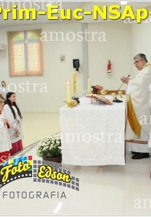 24545-Prim-Euc-NSAp-23-11-2025