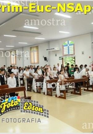 24546-Prim-Euc-NSAp-23-11-2025