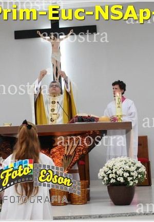 24549-Prim-Euc-NSAp-23-11-2025