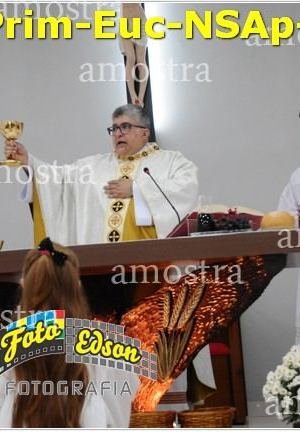 24550-Prim-Euc-NSAp-23-11-2025