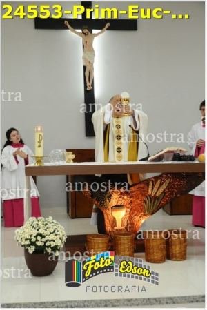 24553-Prim-Euc-NSAp-23-11-2025