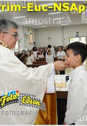 24558-Prim-Euc-NSAp-23-11-2025