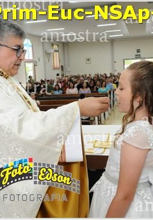 24573-Prim-Euc-NSAp-23-11-2025