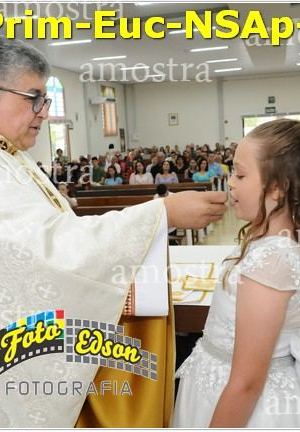 24574-Prim-Euc-NSAp-23-11-2025