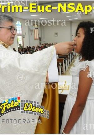 24578-Prim-Euc-NSAp-23-11-2025