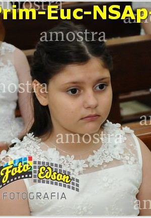 24580-Prim-Euc-NSAp-23-11-2025