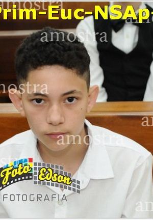 24586-Prim-Euc-NSAp-23-11-2025