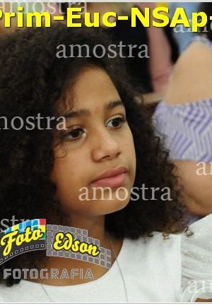 24591-Prim-Euc-NSAp-23-11-2025