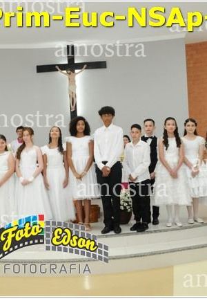 24593-Prim-Euc-NSAp-23-11-2025