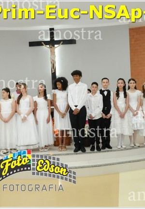 24595-Prim-Euc-NSAp-23-11-2025