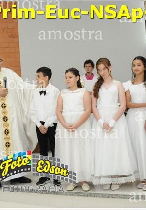 24596-Prim-Euc-NSAp-23-11-2025