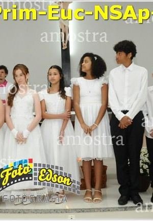 24597-Prim-Euc-NSAp-23-11-2025