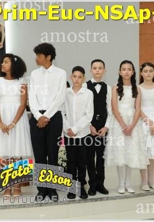 24598-Prim-Euc-NSAp-23-11-2025