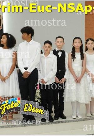 24598-Prim-Euc-NSAp-23-11-2025