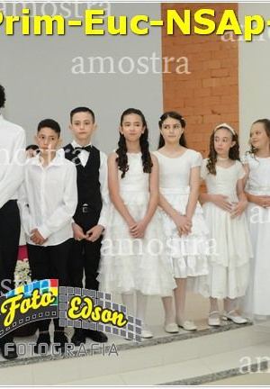 24599-Prim-Euc-NSAp-23-11-2025