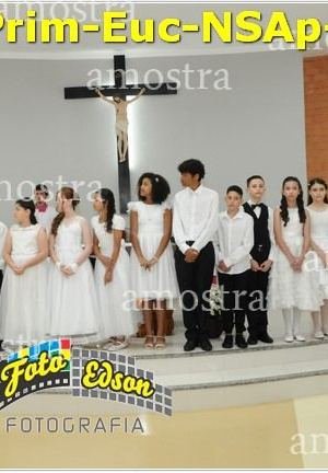 24601-Prim-Euc-NSAp-23-11-2025