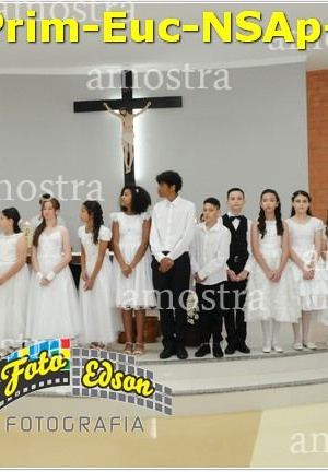 24602-Prim-Euc-NSAp-23-11-2025