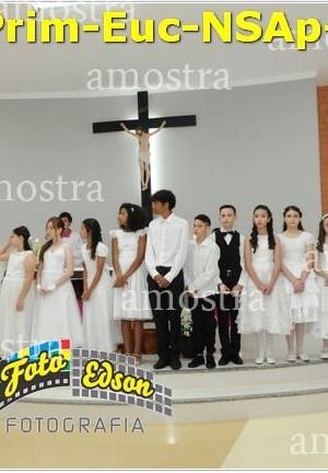 24603-Prim-Euc-NSAp-23-11-2025