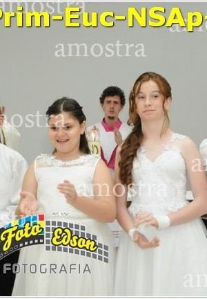 24604-Prim-Euc-NSAp-23-11-2025