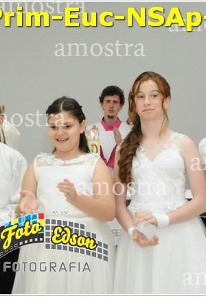 24604-Prim-Euc-NSAp-23-11-2025