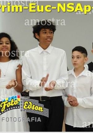 24606-Prim-Euc-NSAp-23-11-2025