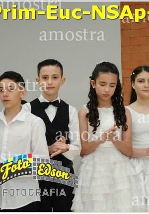 24607-Prim-Euc-NSAp-23-11-2025