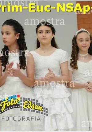 24608-Prim-Euc-NSAp-23-11-2025
