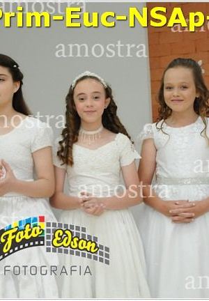 24609-Prim-Euc-NSAp-23-11-2025