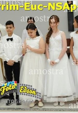 24610-Prim-Euc-NSAp-23-11-2025