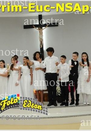 24611-Prim-Euc-NSAp-23-11-2025